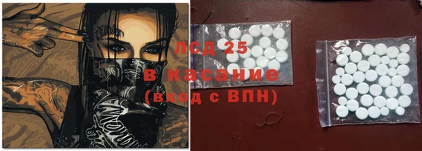 крисы Алексин