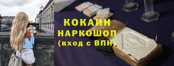 хмурый Алзамай