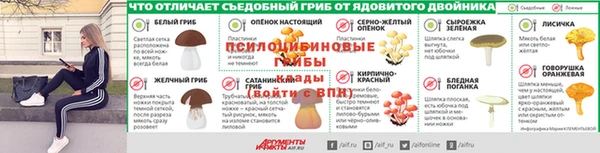 ALPHA-PVP Алексеевка
