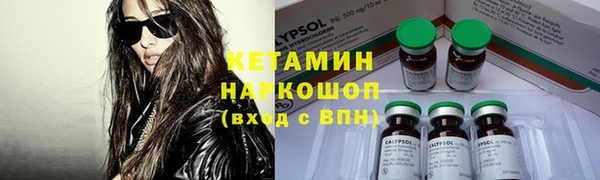 крисы Алексин