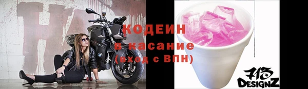 хмурый Алзамай