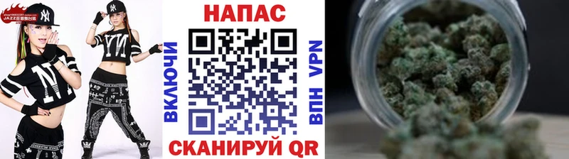 Канабис план Светлоград